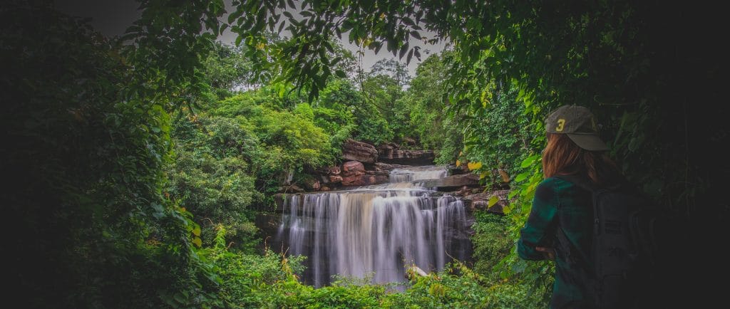 פסיכולוגיה על איוואסקה