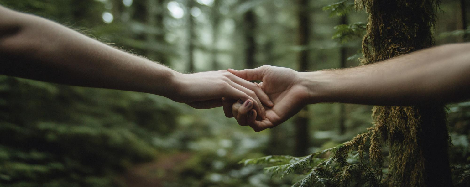 מסע עם איוואסקה